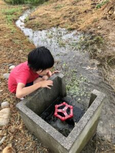 農業用水を見学する息子